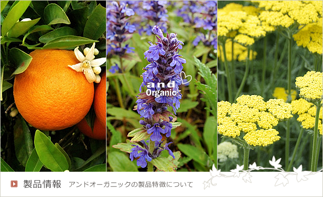 and Organic ���i���^�A���h�I�[�K�j�b�N�̐��i�����ɂ���