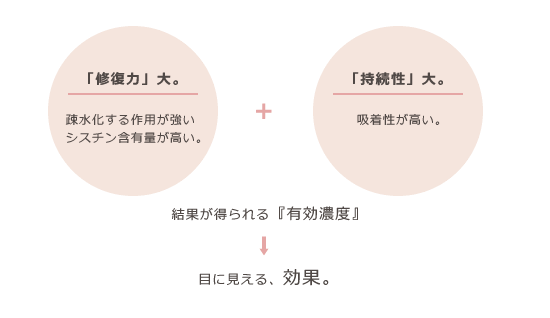 �u�C���́v��B�^�a���������p�������@ �V�X�`���ܗL�ʂ������B�@�u�������v��B�^�z�����������B�@���ʂ�������w�L���Z�x�x���ڂɌ�����A���ʁB